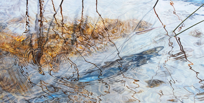 Water Tale by Ai Shah | Lethbridge Gallery